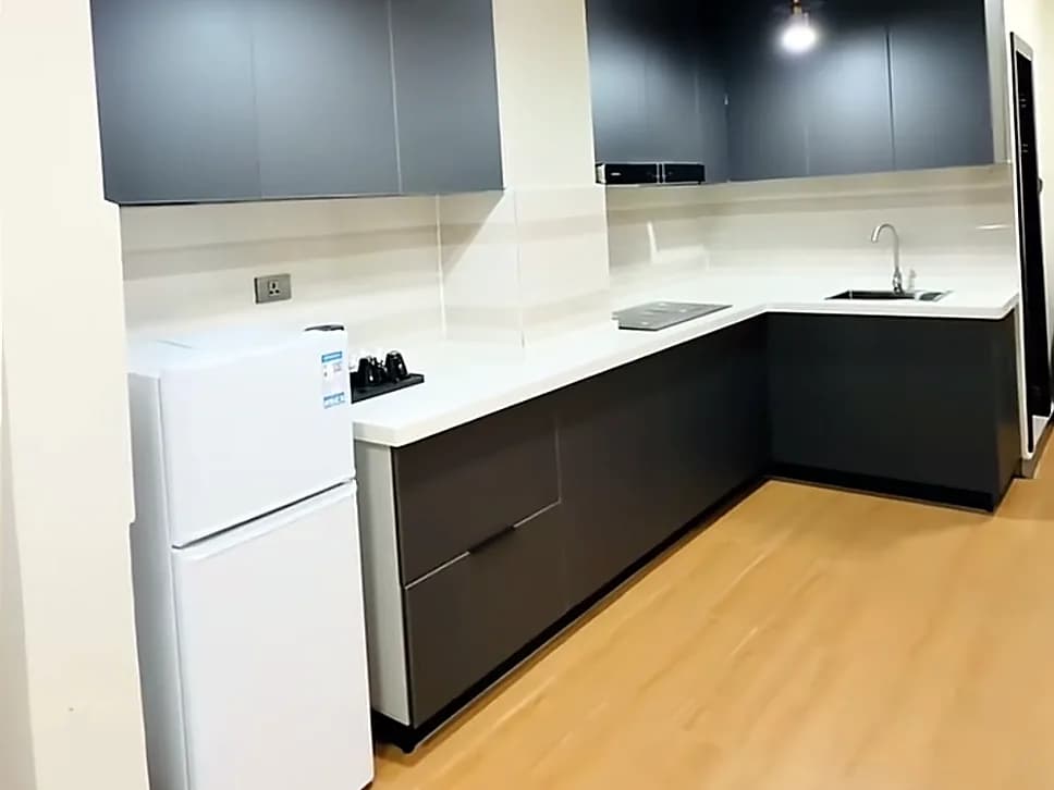 Kitchenette with fridge and induction hob